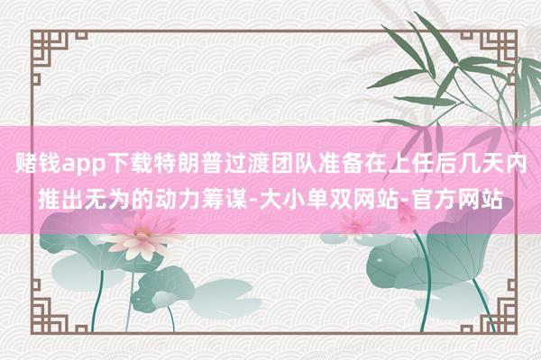 赌钱app下载特朗普过渡团队准备在上任后几天内推出无为的动力筹谋-大小单双网站-官方网站