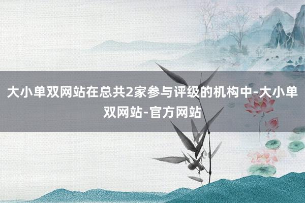 大小单双网站在总共2家参与评级的机构中-大小单双网站-官方网站