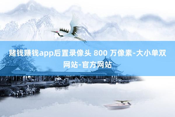 赌钱赚钱app后置录像头 800 万像素-大小单双网站-官方网站