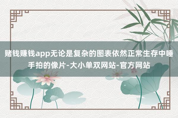赌钱赚钱app无论是复杂的图表依然正常生存中唾手拍的像片-大小单双网站-官方网站