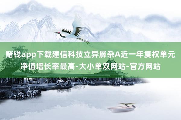 赌钱app下载建信科技立异羼杂A近一年复权单元净值增长率最高-大小单双网站-官方网站