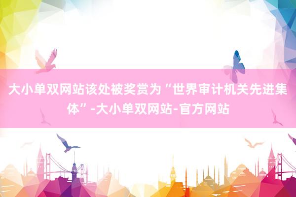 大小单双网站该处被奖赏为“世界审计机关先进集体”-大小单双网站-官方网站