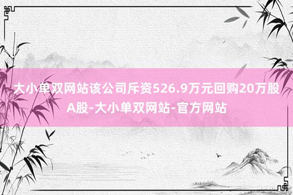 大小单双网站该公司斥资526.9万元回购20万股A股-大小单双网站-官方网站