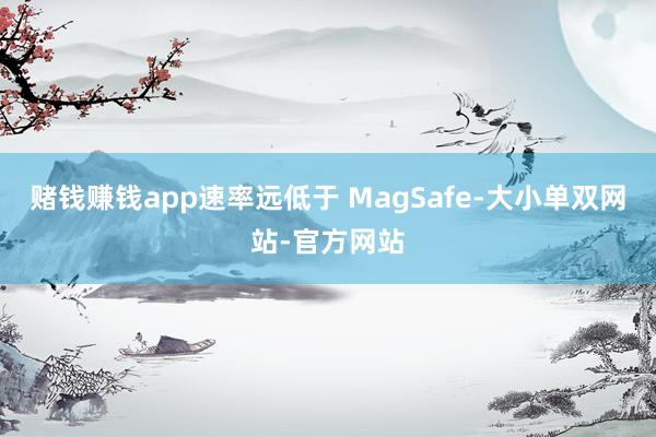 赌钱赚钱app速率远低于 MagSafe-大小单双网站-官方网站