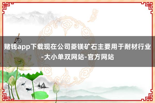 赌钱app下载现在公司菱镁矿石主要用于耐材行业-大小单双网站-官方网站