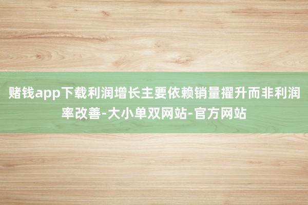 赌钱app下载利润增长主要依赖销量擢升而非利润率改善-大小单双网站-官方网站