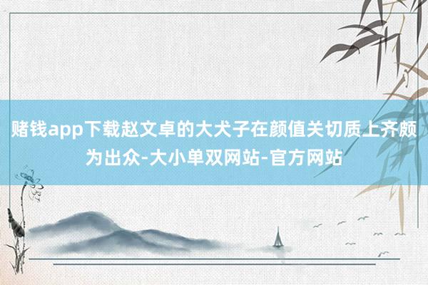 赌钱app下载赵文卓的大犬子在颜值关切质上齐颇为出众-大小单双网站-官方网站