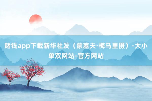 赌钱app下载新华社发（蒙塞夫·梅马里摄）-大小单双网站-官方网站