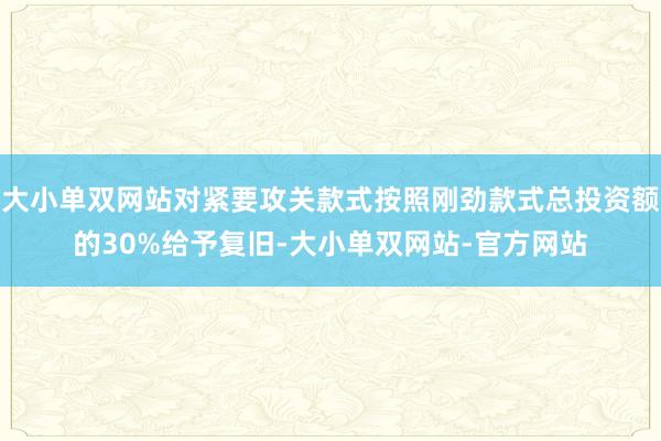大小单双网站对紧要攻关款式按照刚劲款式总投资额的30%给予复旧-大小单双网站-官方网站