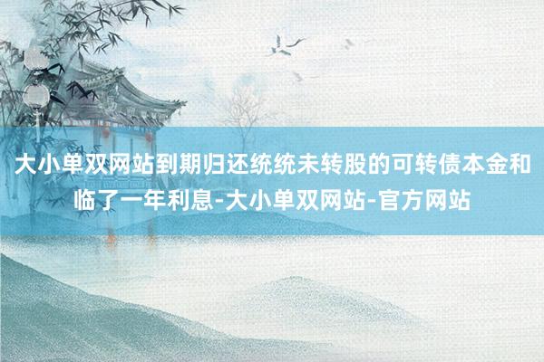 大小单双网站到期归还统统未转股的可转债本金和临了一年利息-大小单双网站-官方网站