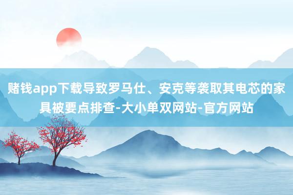 赌钱app下载导致罗马仕、安克等袭取其电芯的家具被要点排查-大小单双网站-官方网站