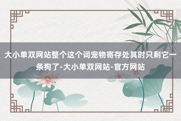 大小单双网站整个这个词宠物寄存处其时只剩它一条狗了-大小单双网站-官方网站